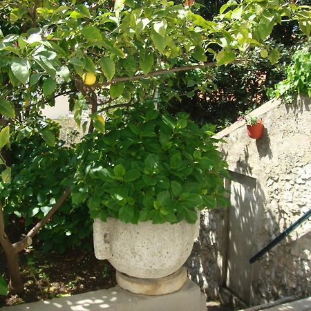 Guesthouse Manda Дубровник Экстерьер фото