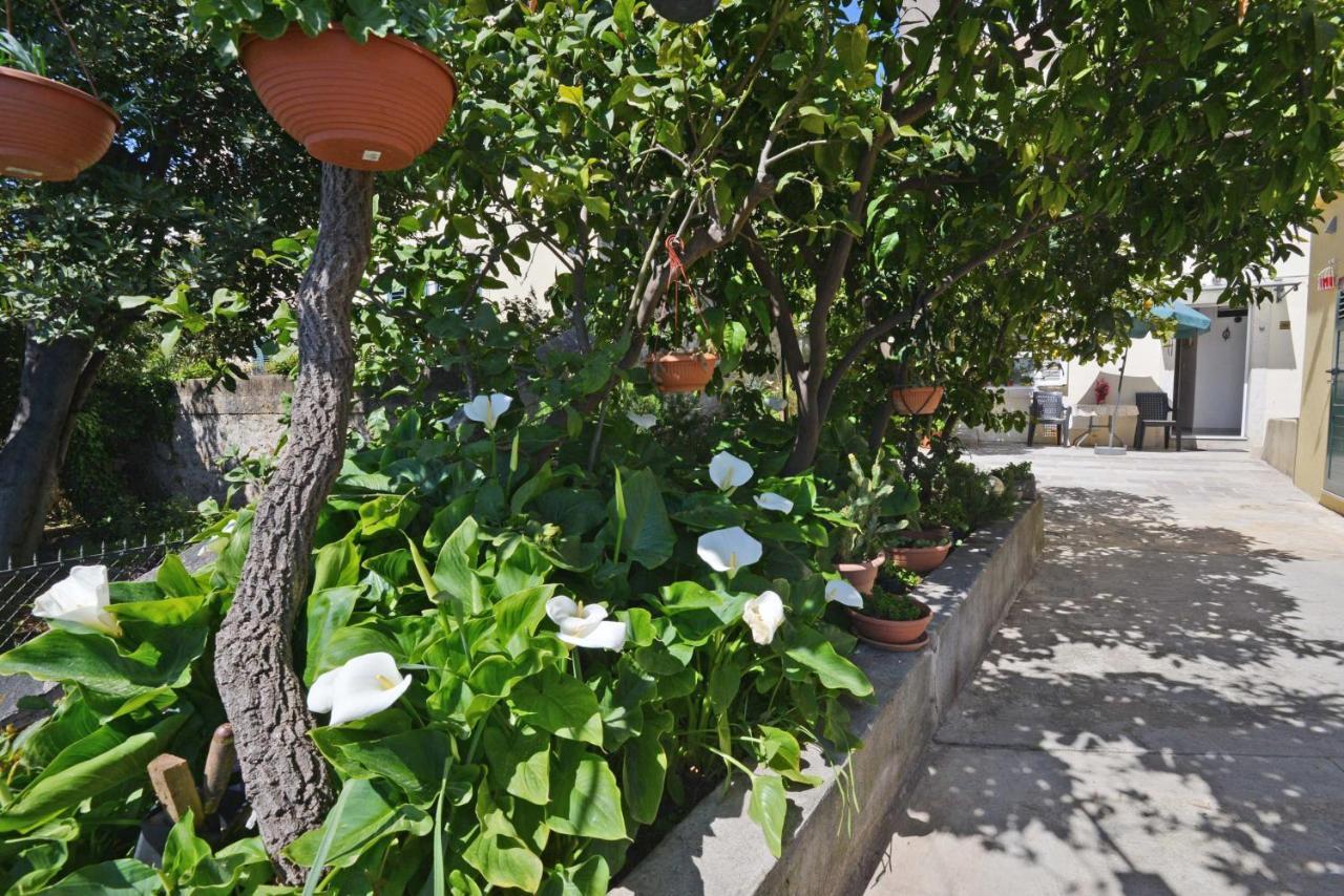 Guesthouse Manda Дубровник Экстерьер фото